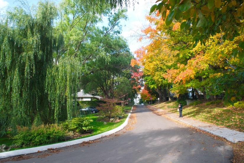 Taken on the D800 with the Sigma 24-70