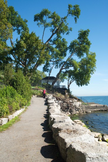 Taken on the D800 with the Sigma 24-70