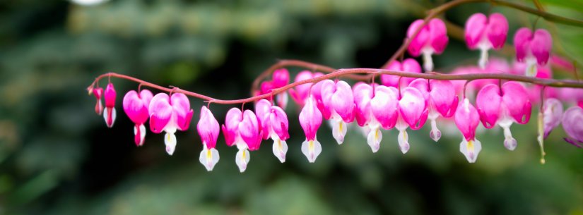 Taken on the D800 with the Sigma 24-70