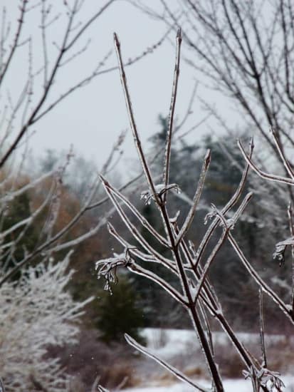 Ice storm in early February