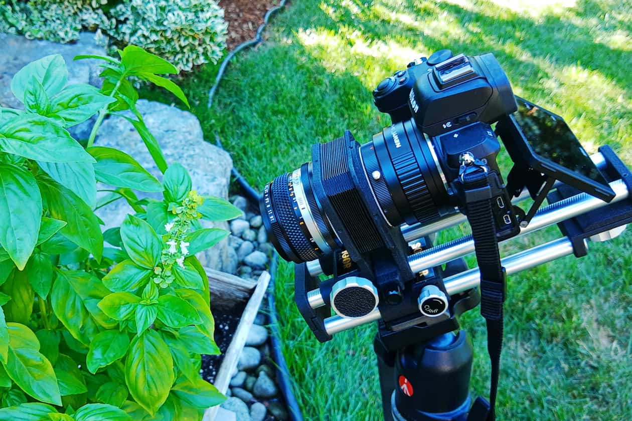 Bellows set-up in front of basil flowers