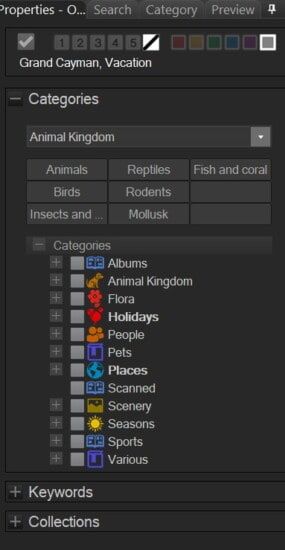 Screen shot of Properties pane