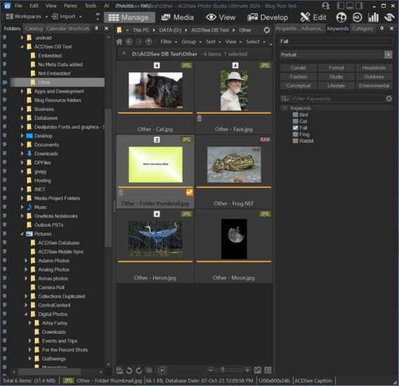 ACDSee 2024: Yellow thumbnail keywords
